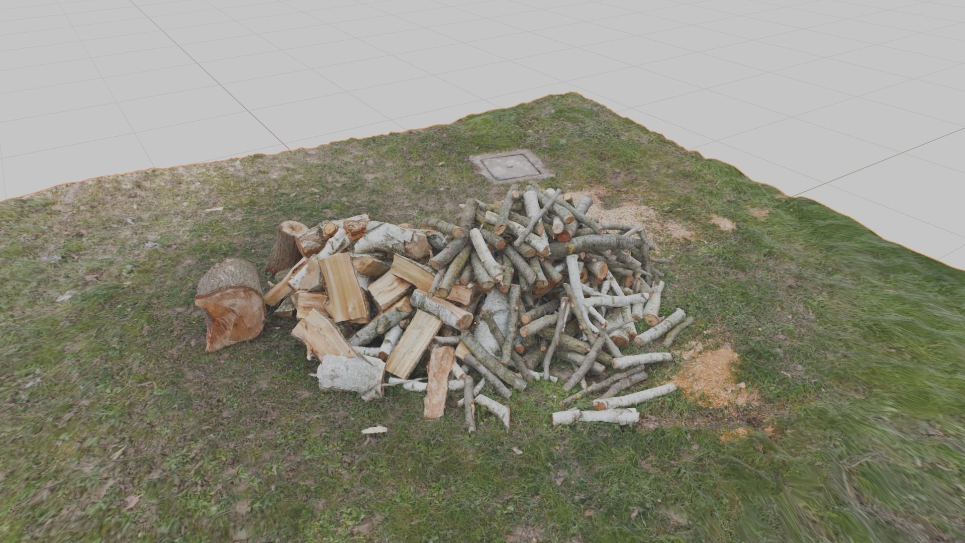Pile of wood fire chips 3D model_26