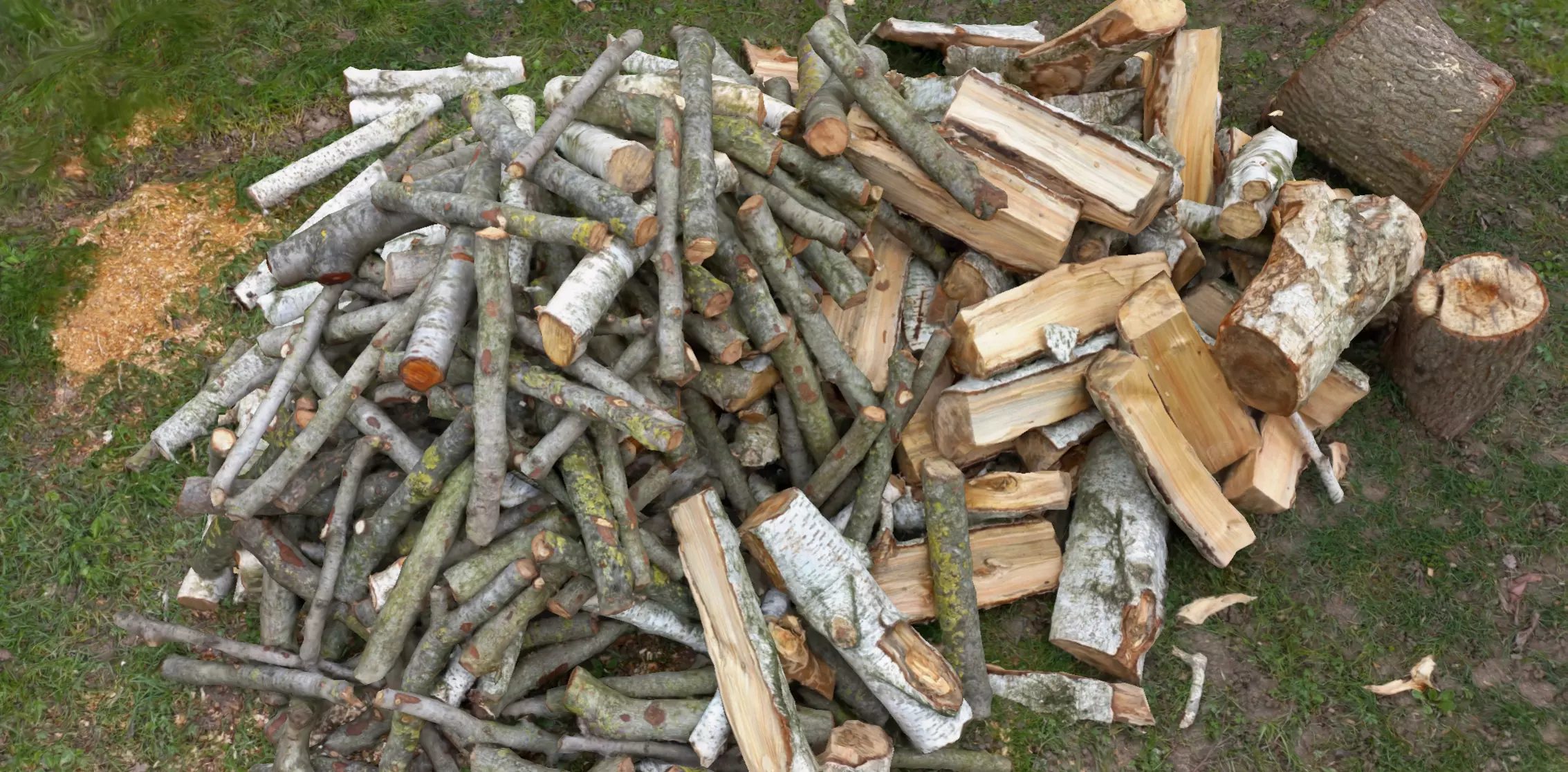 Pile of wood fire chips 3D model_0
