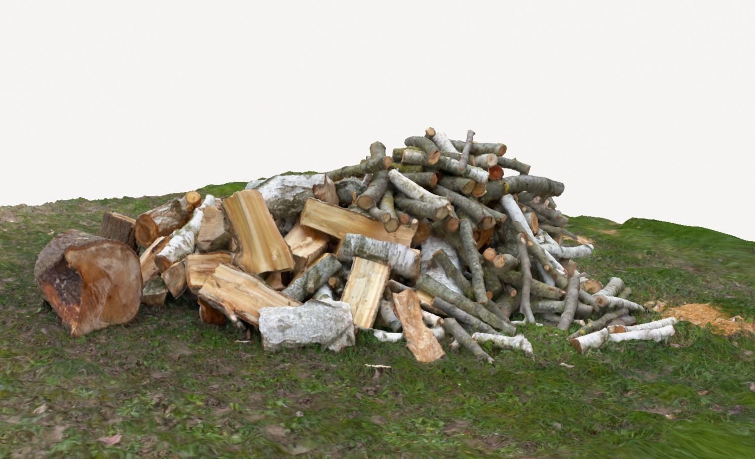 Pile of wood fire chips 3D model_10