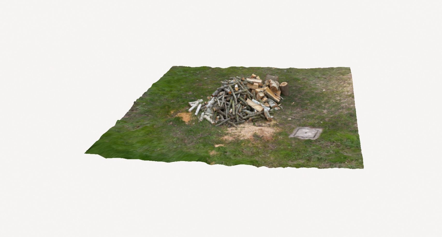 Pile of wood fire chips 3D model_13