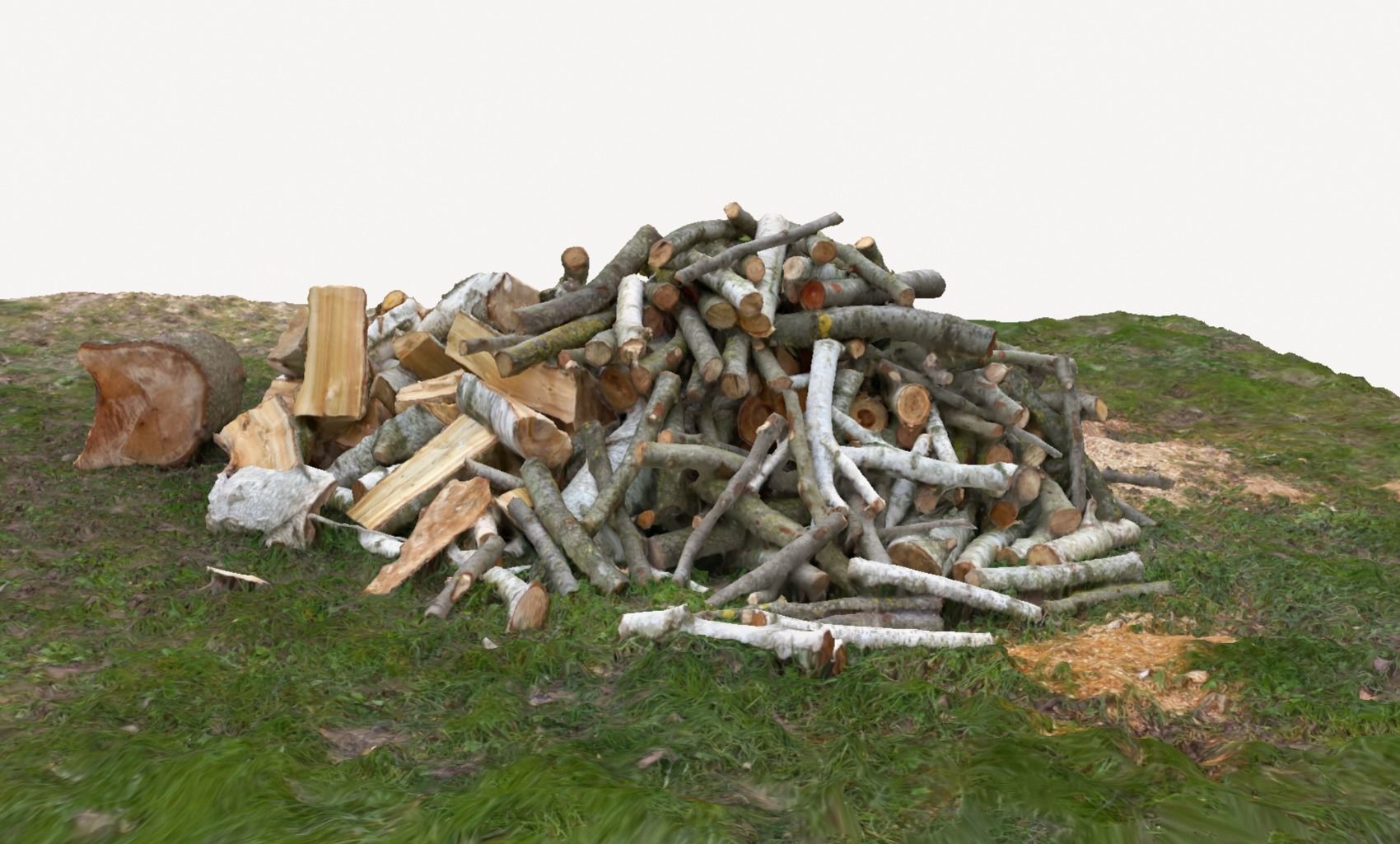 Pile of wood fire chips 3D model_8