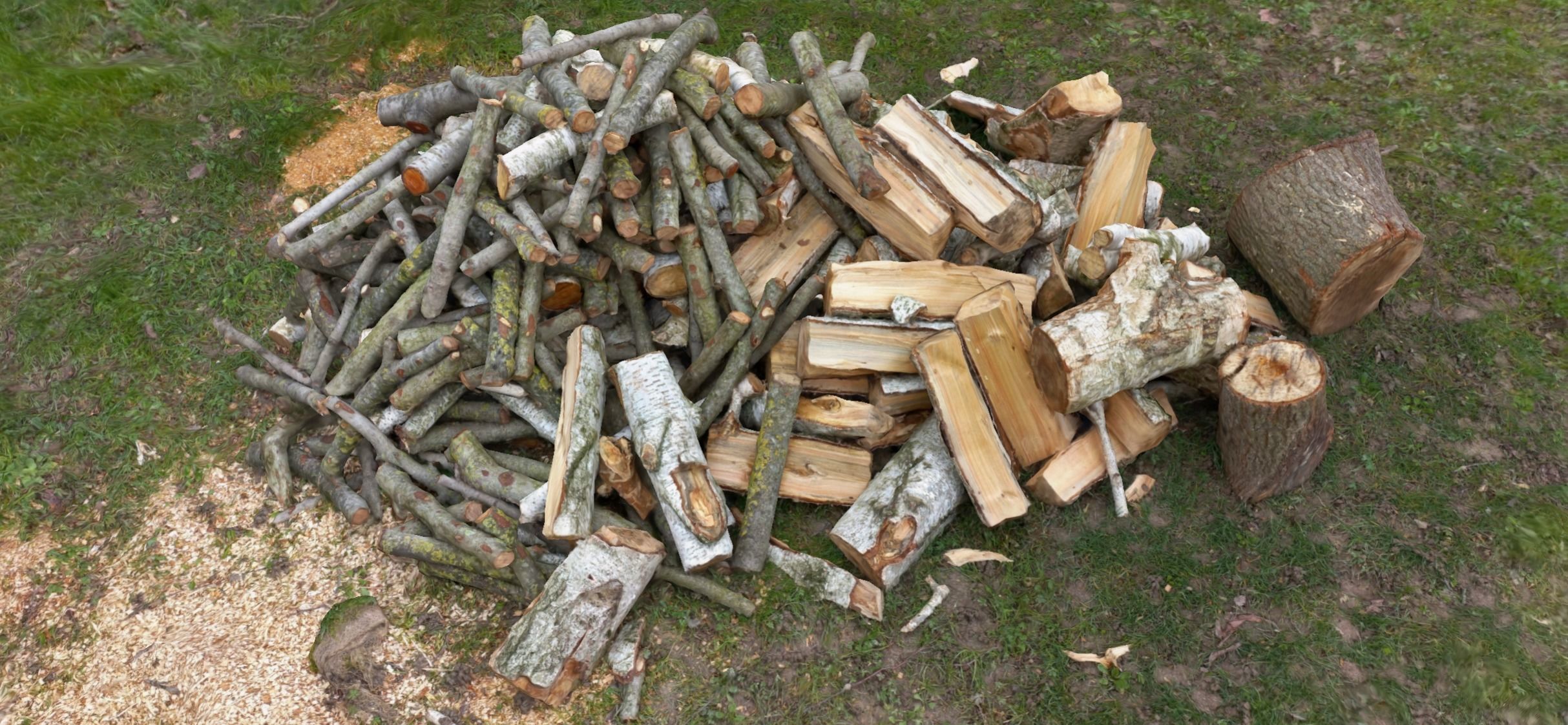 Pile of wood fire chips 3D model_5