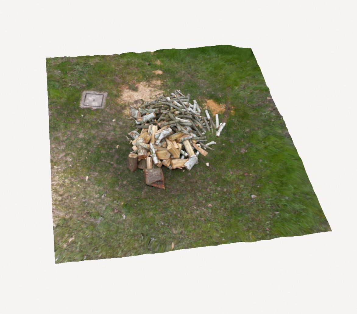 Pile of wood fire chips 3D model_11