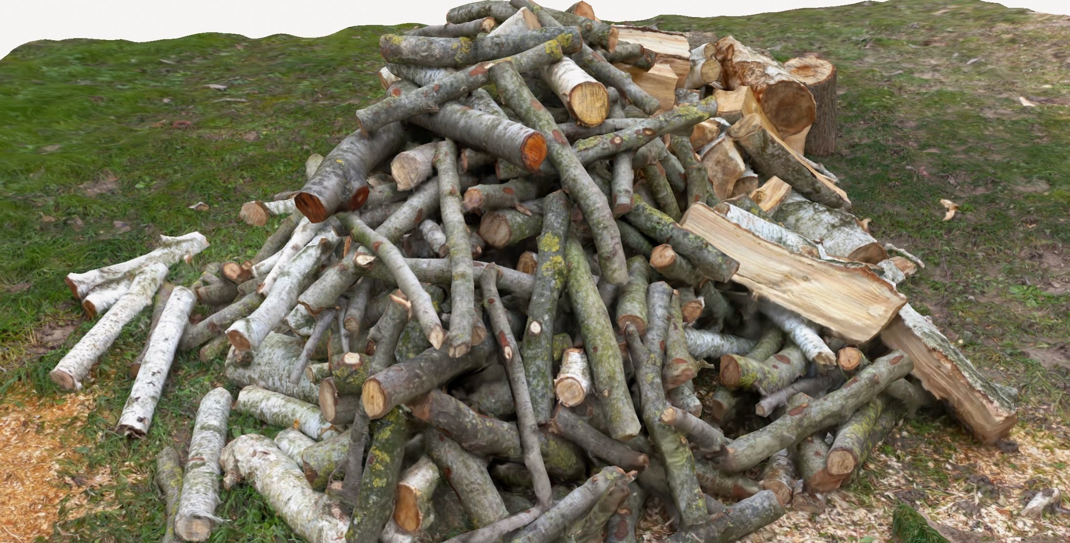 Pile of wood fire chips 3D model_4