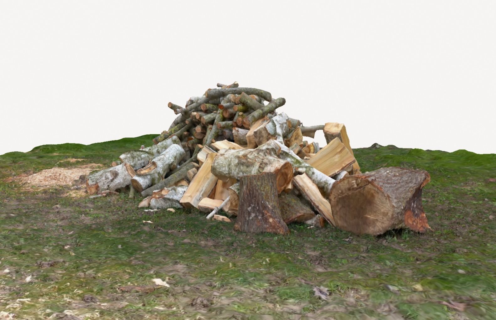 Pile of wood fire chips 3D model_18