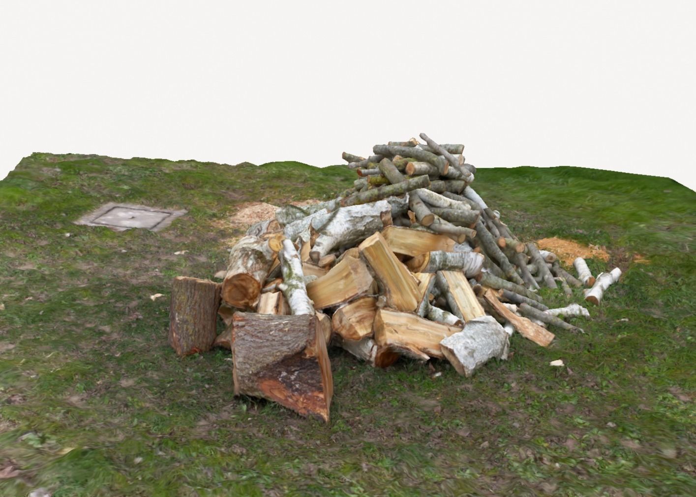 Pile of wood fire chips 3D model_7