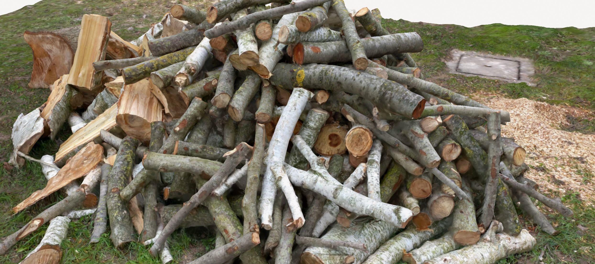 Pile of wood fire chips 3D model_2