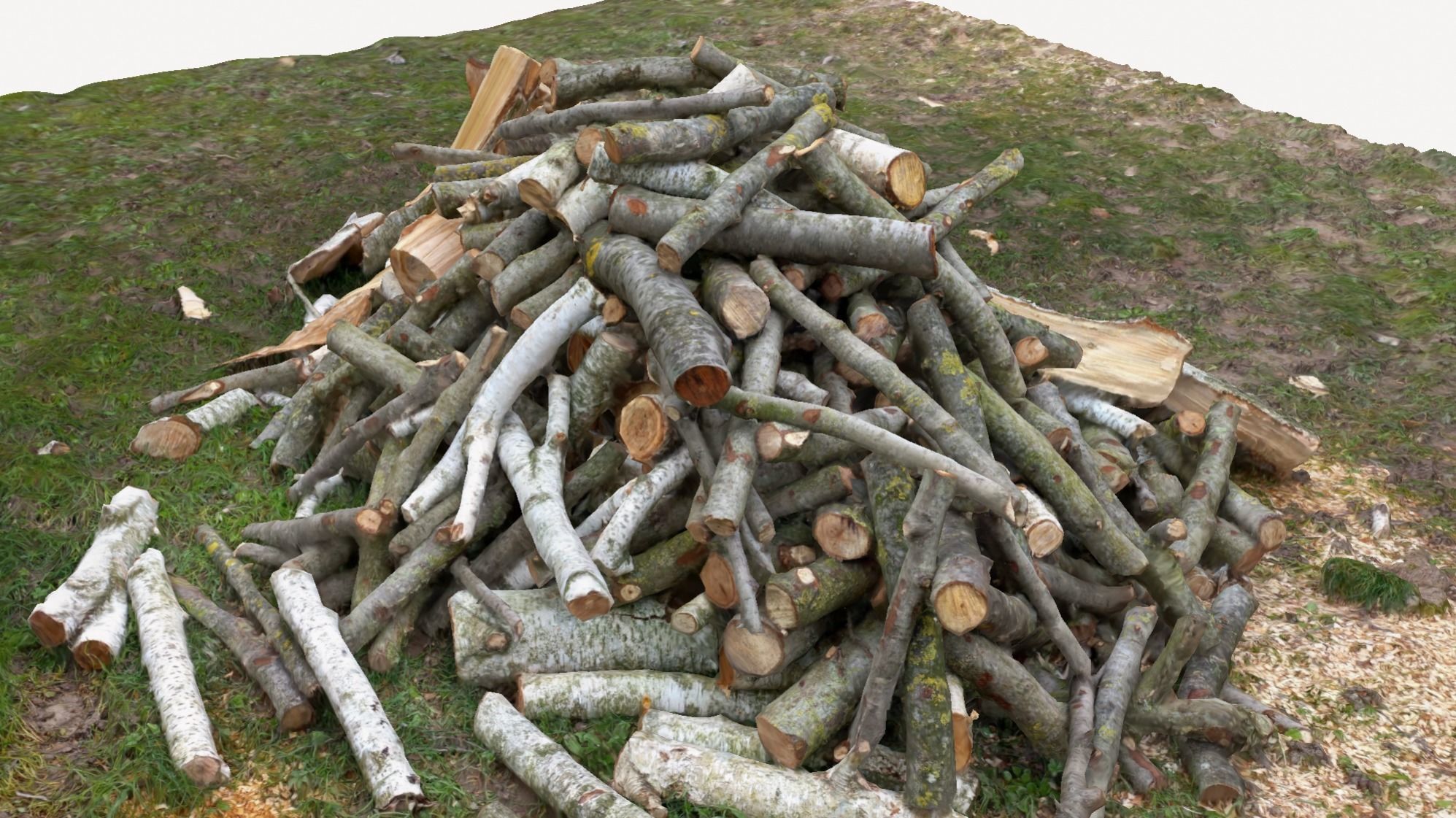 Pile of wood fire chips 3D model_3