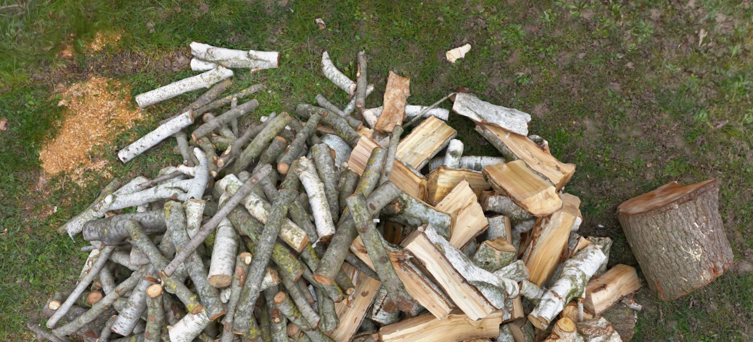 Pile of wood fire chips 3D model_1