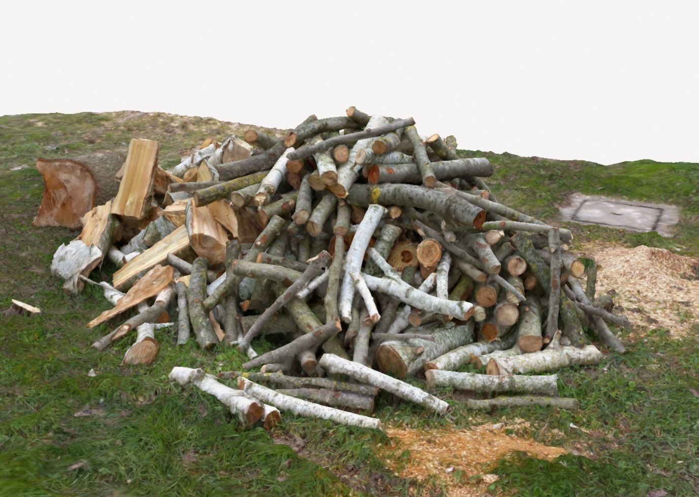 Pile of wood fire chips 3D model_6
