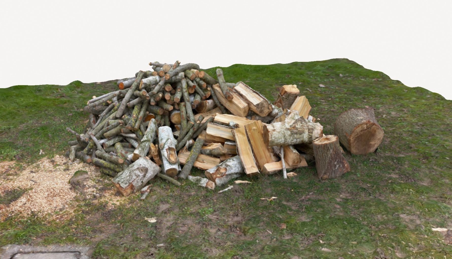 Pile of wood fire chips 3D model_9