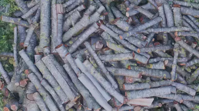 Small Pile of wood fire chips