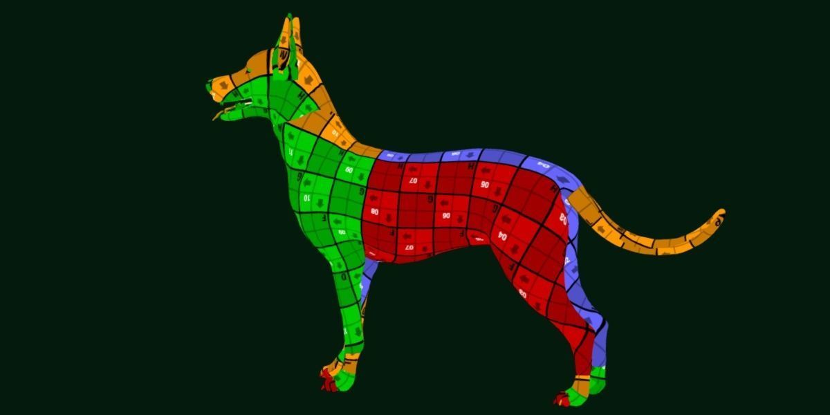 Zwergpinscher Dog Breed 3D model_15