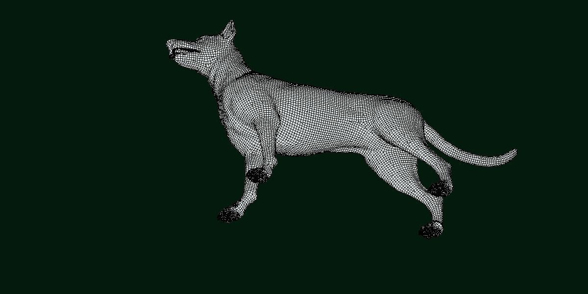 Zwergpinscher Dog Breed 3D model_13