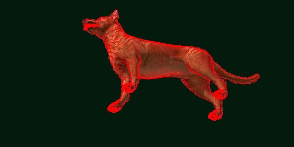 Zwergpinscher Dog Breed 3D model_12