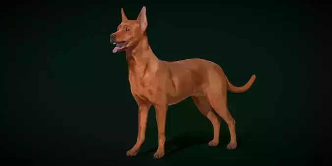 Zwergpinscher Dog Breed 3D model