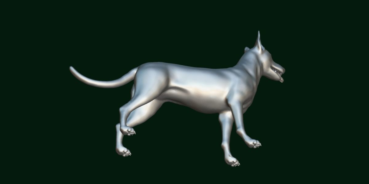 Zwergpinscher Dog Breed 3D model_16