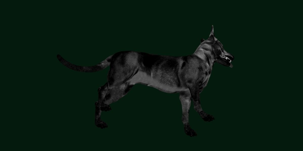 Zwergpinscher Dog Breed 3D model_2