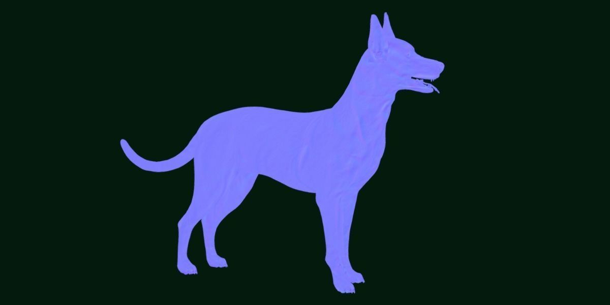 Zwergpinscher Dog Breed 3D model_5