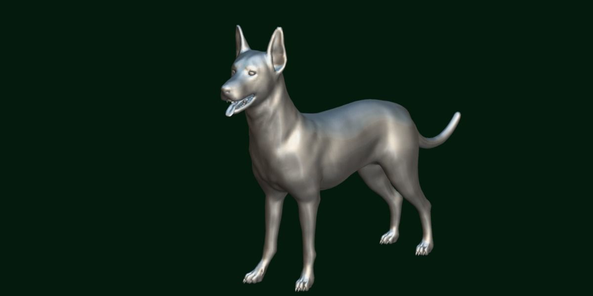 Zwergpinscher Dog Breed 3D model_7