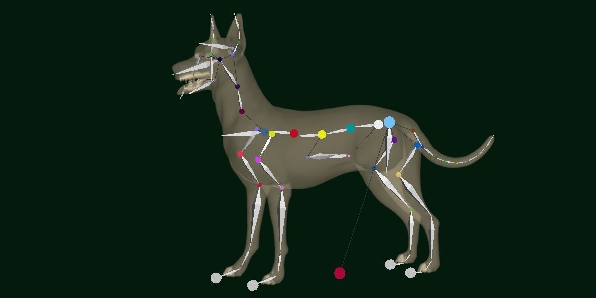 Zwergpinscher Dog Breed 3D model_21