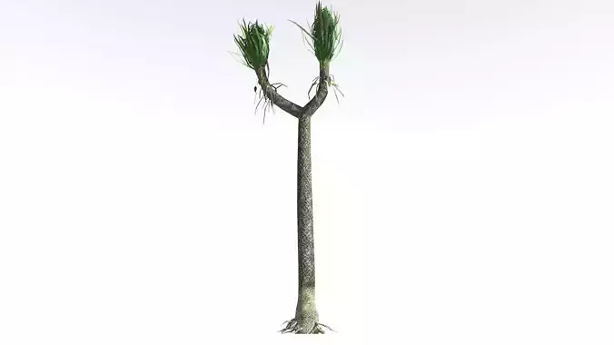 EVERYPlant Sigillaria LowPoly 2 --12 Models-- Low-poly 3D model