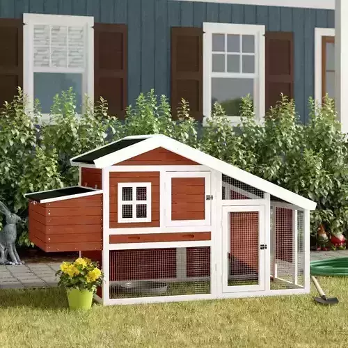 Gatsby Square Feet Chicken Coop Chicken Run