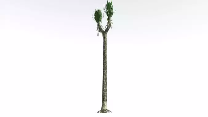 EVERYPlant Sigillaria LowPoly 3 --12 Models-- Low-poly 3D model