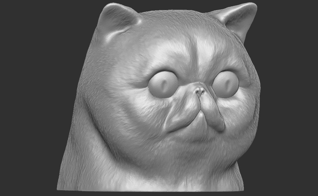 Exotic Shorthair cat head for 3D printing 3D print model_5