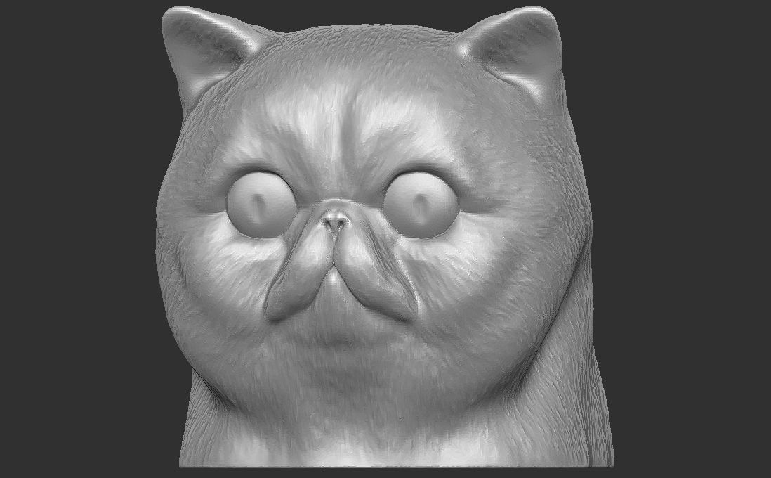 Exotic Shorthair cat head for 3D printing 3D print model_3