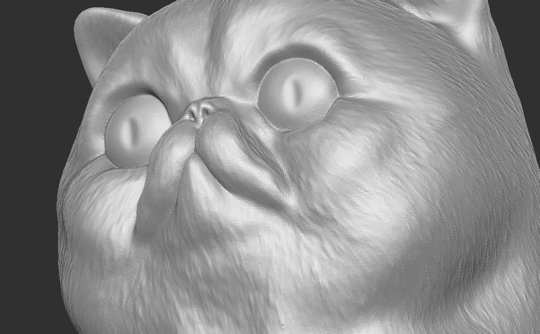 Exotic Shorthair cat head for 3D printing 3D print model_17