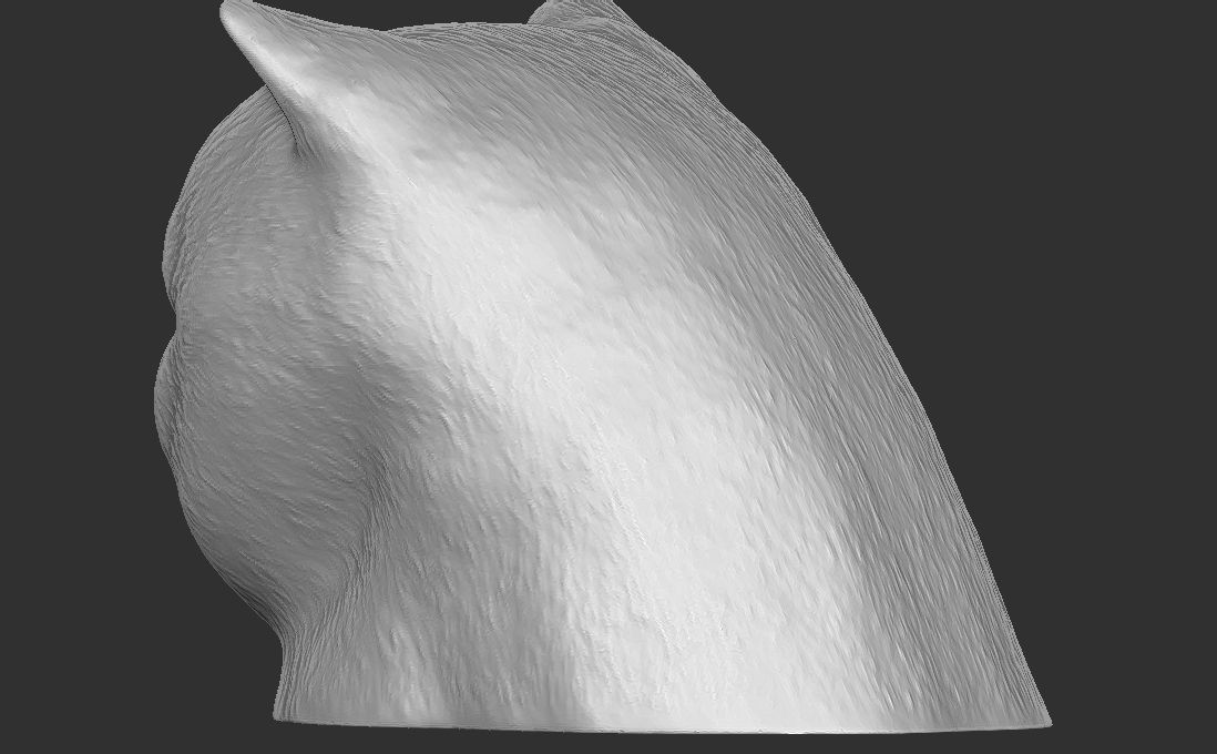 Exotic Shorthair cat head for 3D printing 3D print model_11
