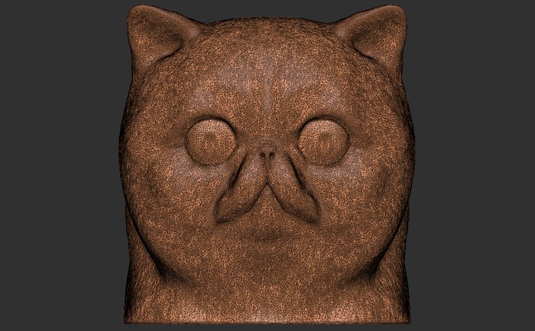 Exotic Shorthair cat head for 3D printing 3D print model_22