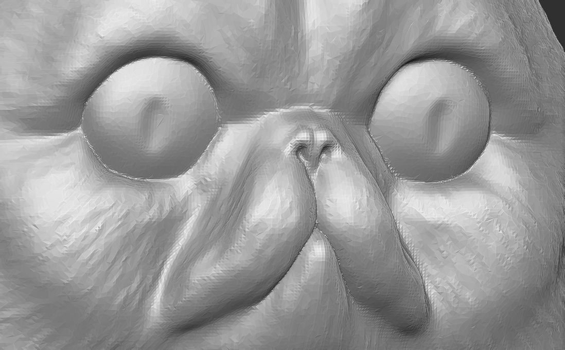 Exotic Shorthair cat head for 3D printing 3D print model_15