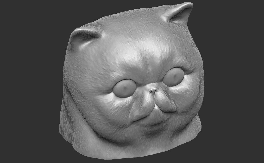 Exotic Shorthair cat head for 3D printing 3D print model_20