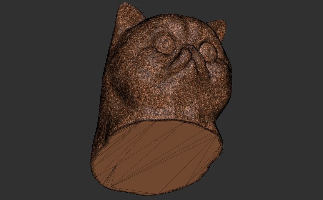 Exotic Shorthair cat head for 3D printing 3D print model_24