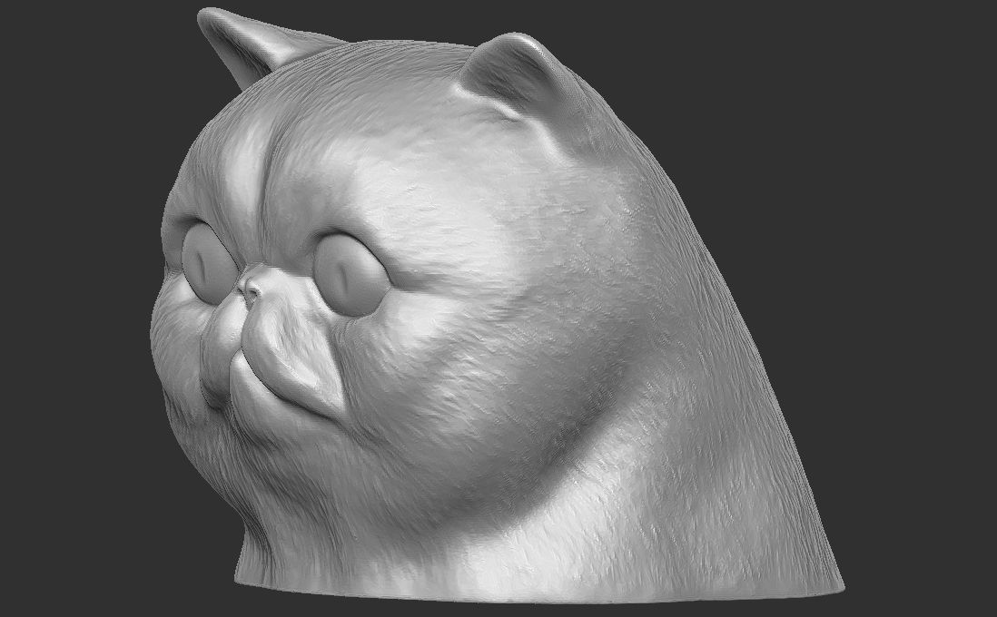 Exotic Shorthair cat head for 3D printing 3D print model_13