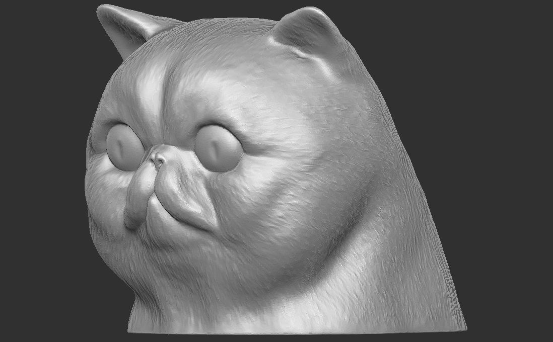Exotic Shorthair cat head for 3D printing 3D print model_14