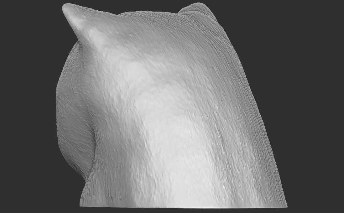 Exotic Shorthair cat head for 3D printing 3D print model_10