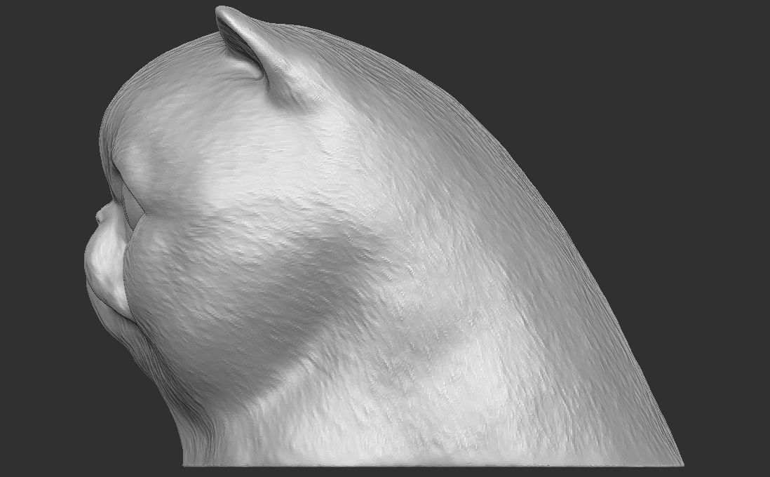 Exotic Shorthair cat head for 3D printing 3D print model_12