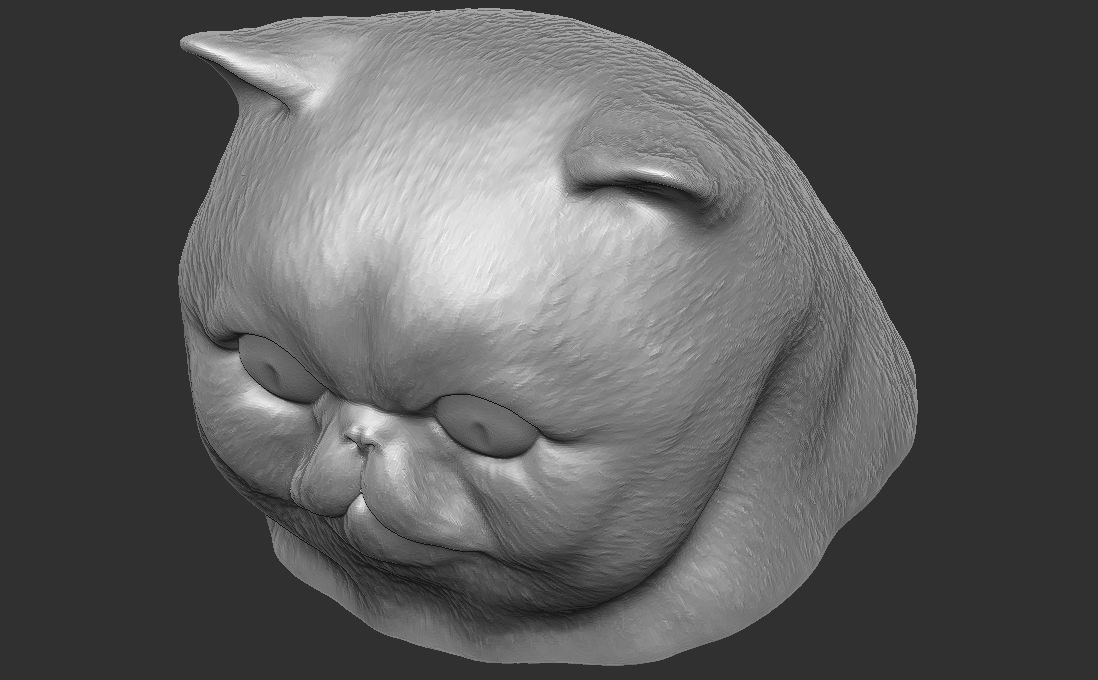 Exotic Shorthair cat head for 3D printing 3D print model_21