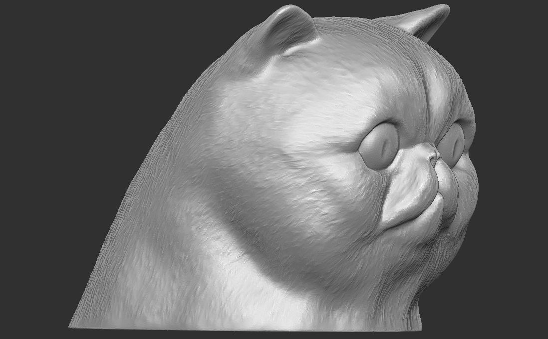 Exotic Shorthair cat head for 3D printing 3D print model_6