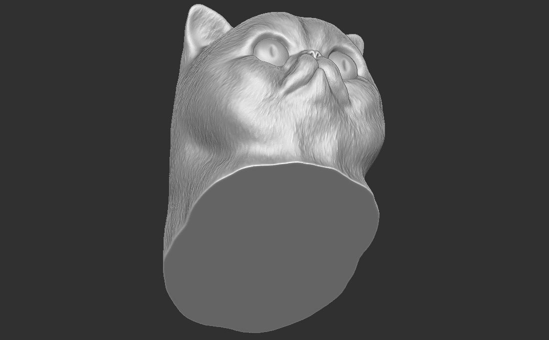 Exotic Shorthair cat head for 3D printing 3D print model_19