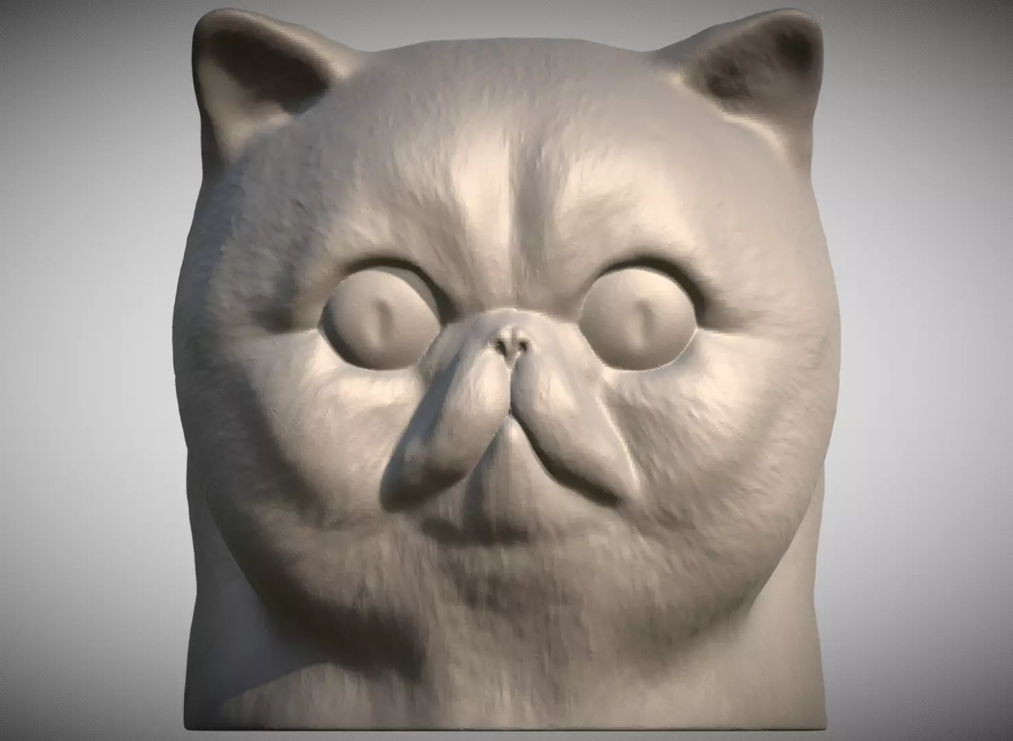 Exotic Shorthair cat head for 3D printing 3D print model_0