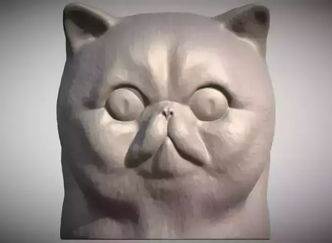 Exotic Shorthair cat head for 3D printing 3D print model