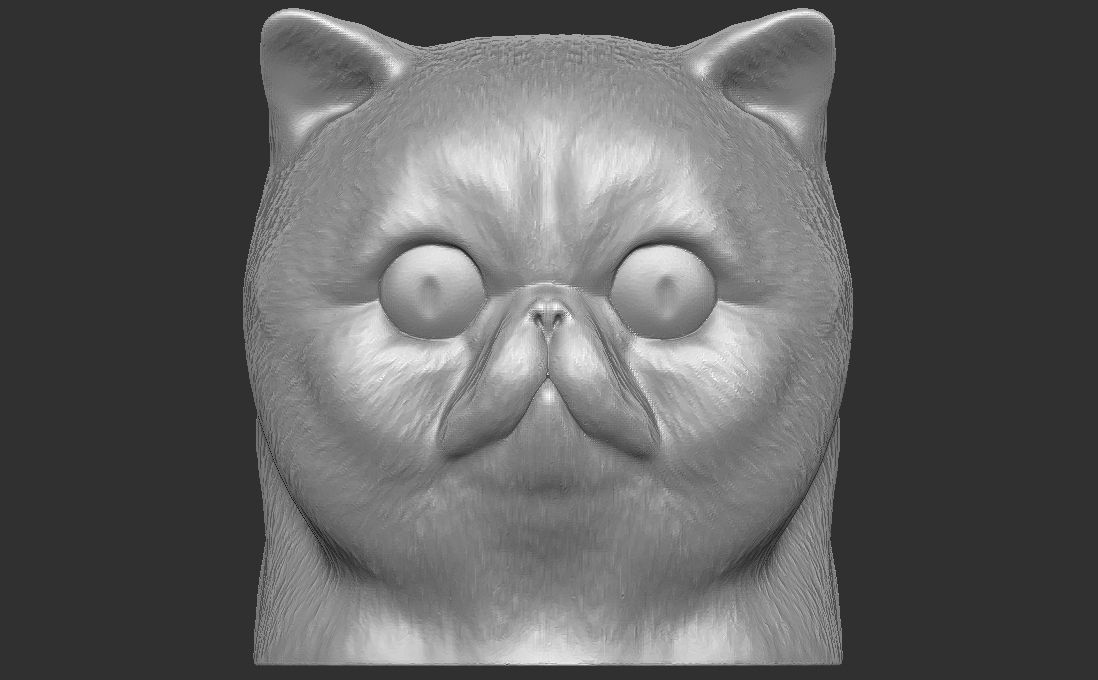 Exotic Shorthair cat head for 3D printing 3D print model_4
