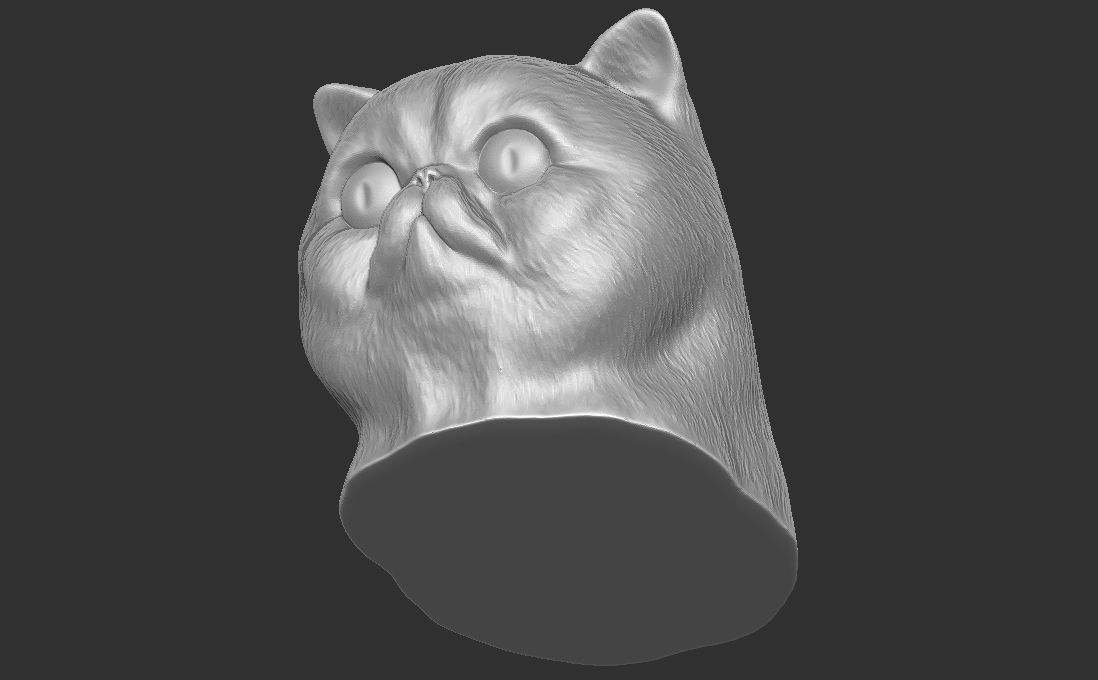 Exotic Shorthair cat head for 3D printing 3D print model_18