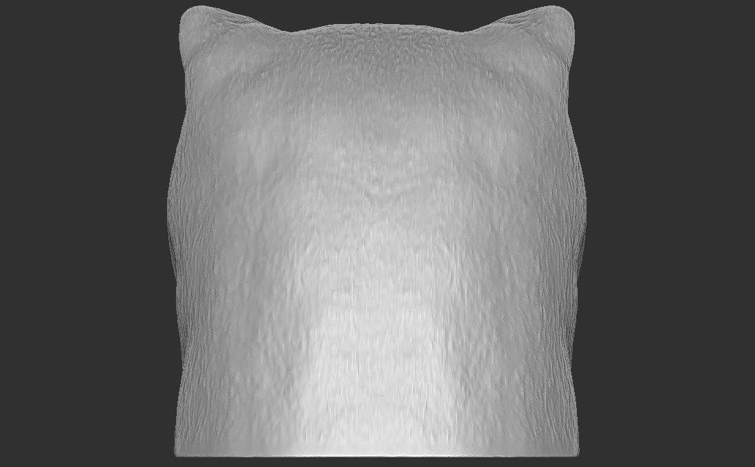 Exotic Shorthair cat head for 3D printing 3D print model_9