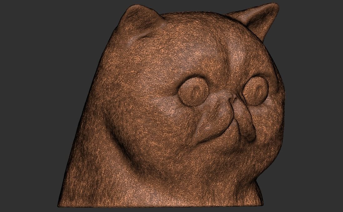 Exotic Shorthair cat head for 3D printing 3D print model_23
