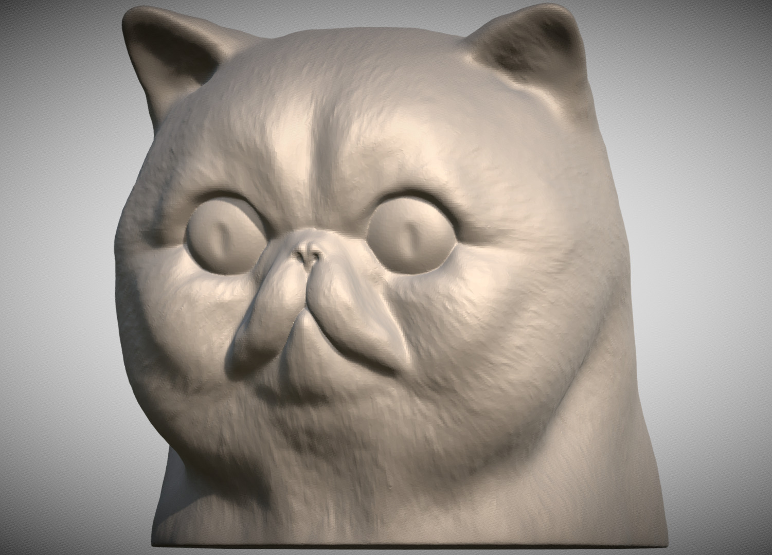 Exotic Shorthair cat head for 3D printing 3D print model_1